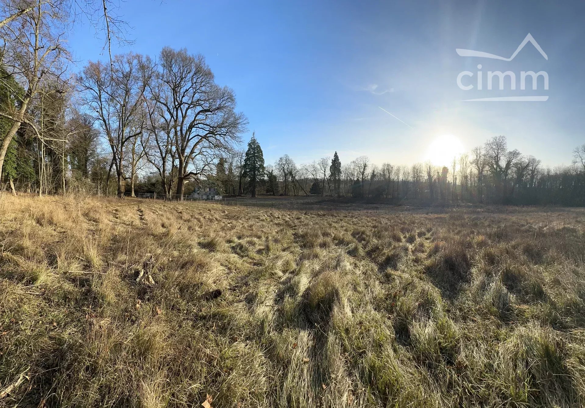 A VENDRE CHATEAU A GOUVERNES - Miniature 4